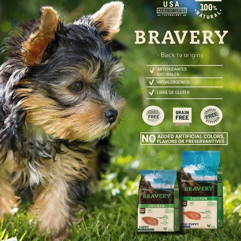 bravery puppy mini